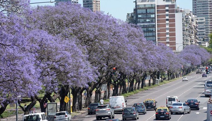 Buenos Aires, Argentina super economico.