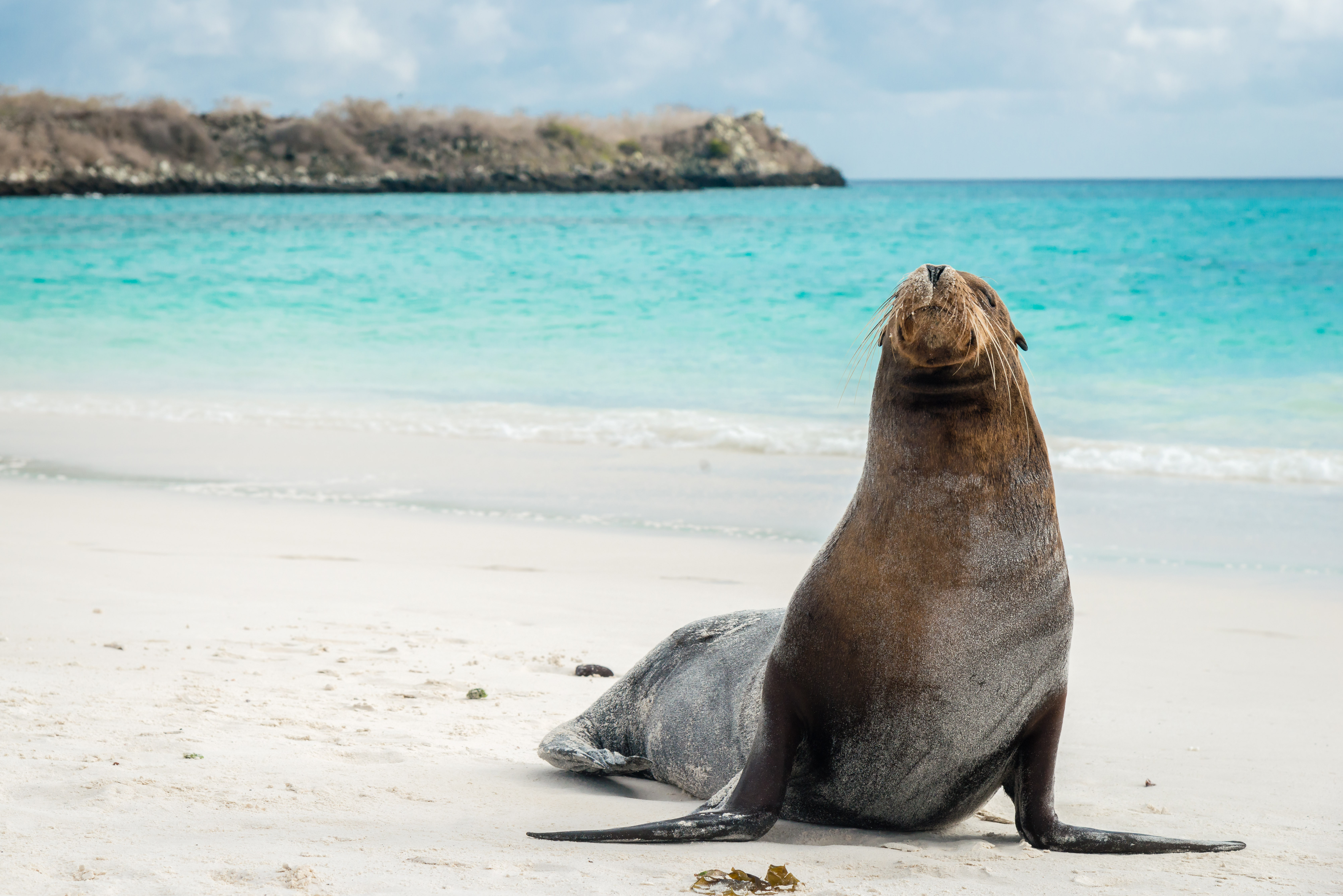 Vacaciones en Galapagos 2019 desde GYE y QUITO